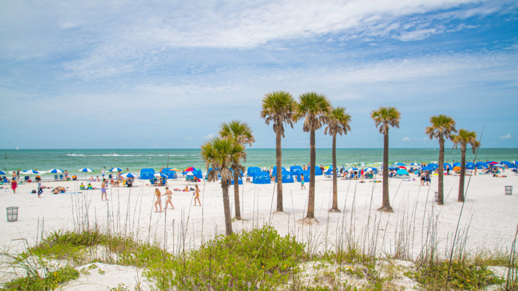 Things To Do In Clearwater, Florida, 5 day travel itinerary, brief history, weather – Winter, Spring, Summer, Fall – Bike Paths, Campsites travelanycountry